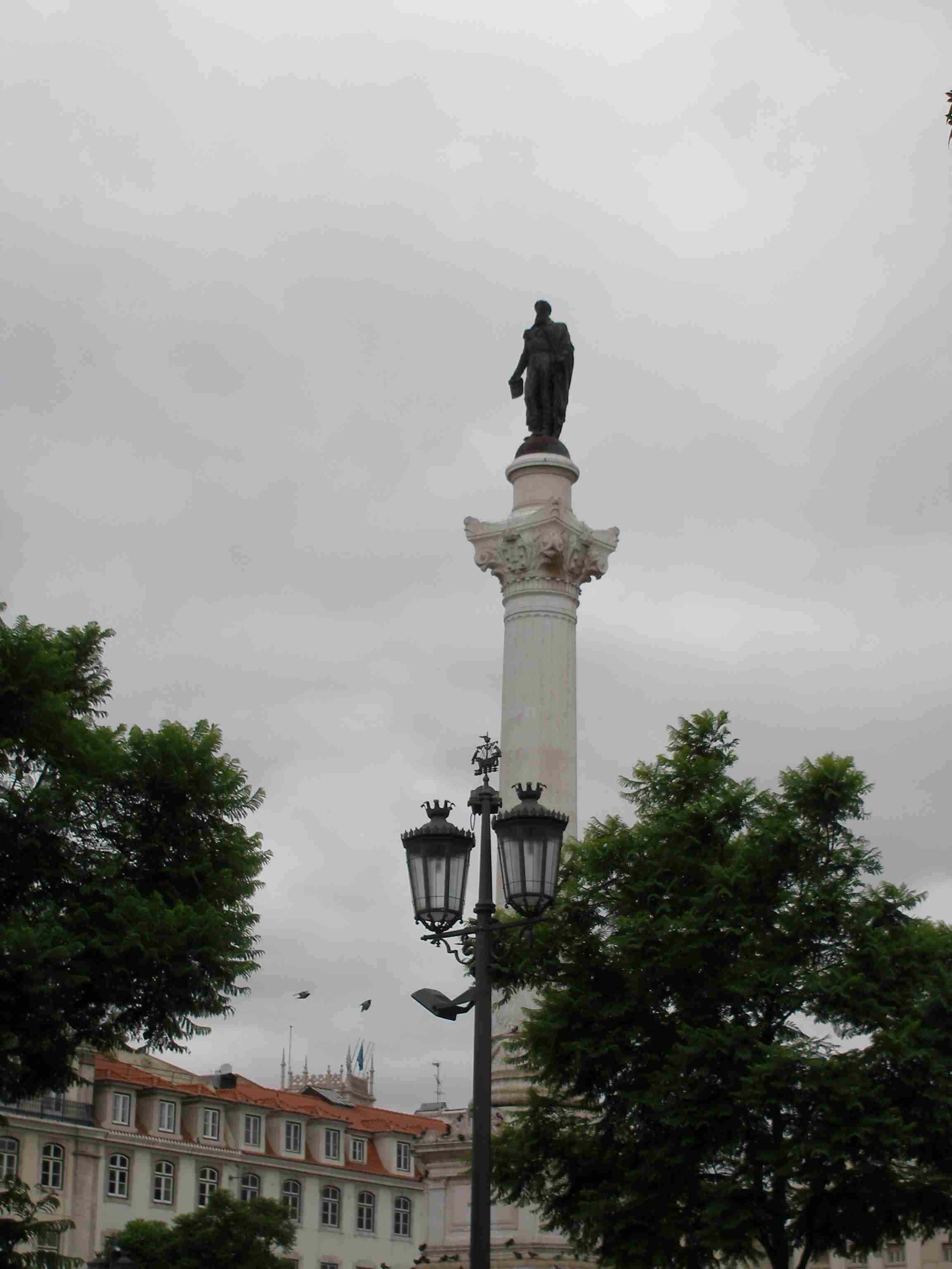 r8112809a.jpg