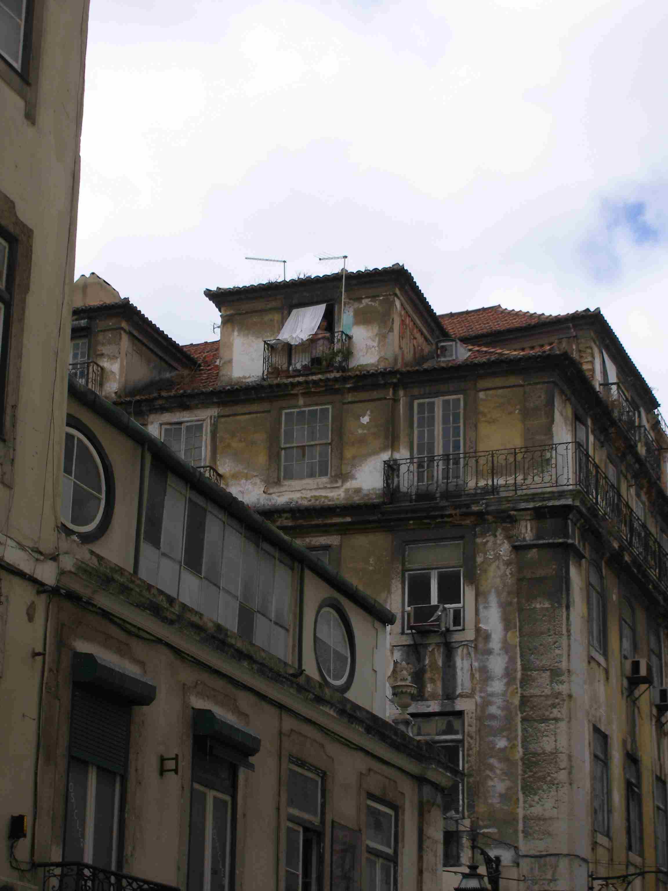 P8112815a.jpg