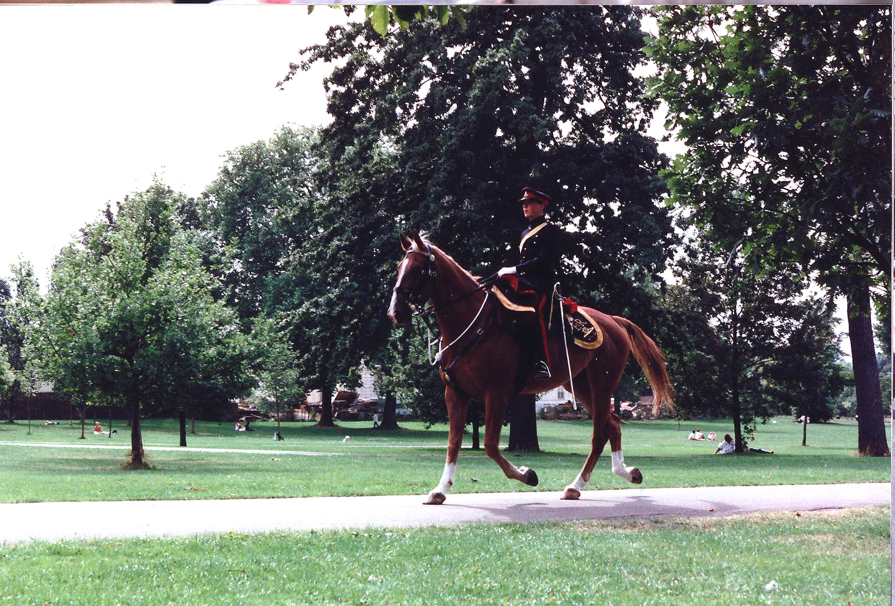 GB940029a.jpg
